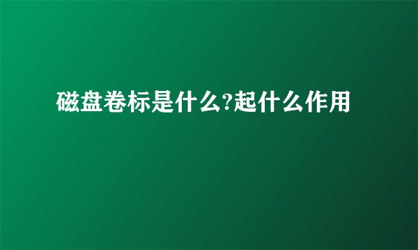 磁盘卷标是什么?起什么作用