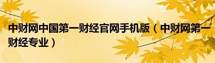 中财网中国第一财经官网手机版（中财网第一财经专业）
