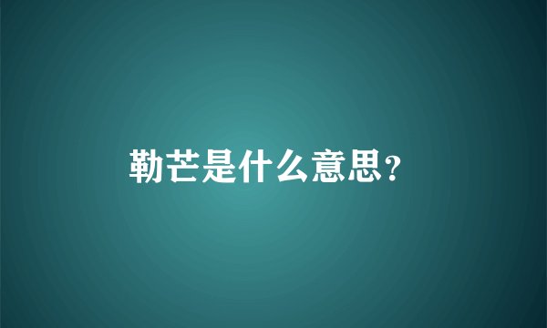 勒芒是什么意思？