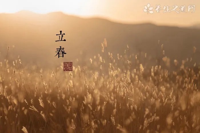 什么品牌美瞳好 买美瞳哪个牌子好