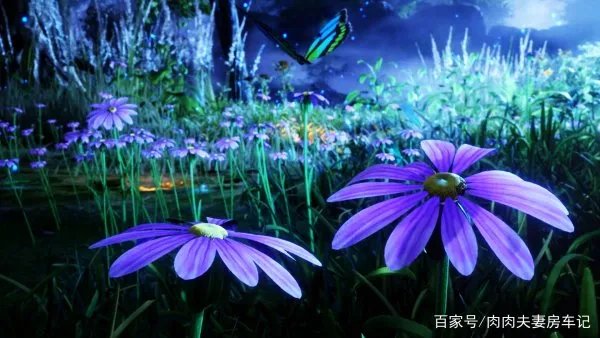 大明二明为什么不自己救小舞姐,非要唐三,是什么限制他们?
