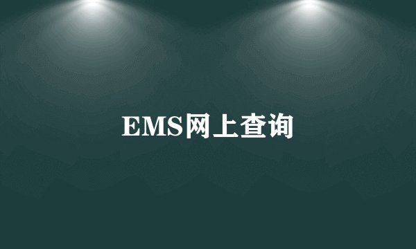 EMS网上查询