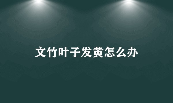 文竹叶子发黄怎么办