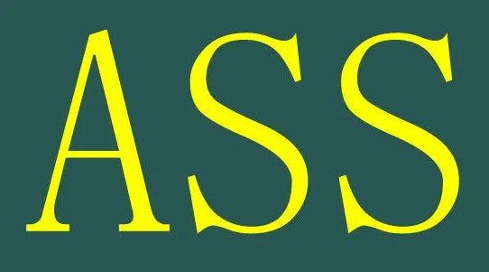 ass是什么意思