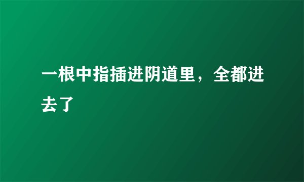 一根中指插进阴道里，全都进去了