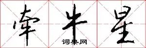 牵牛星