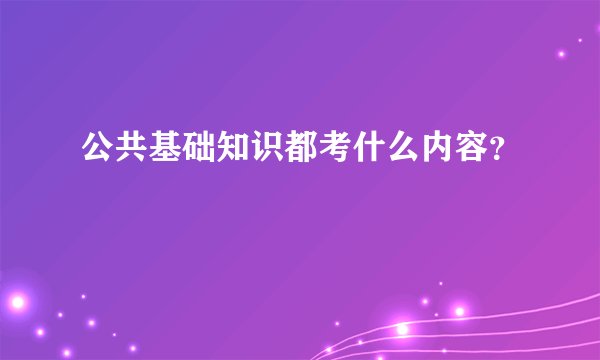 公共基础知识都考什么内容？