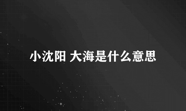 小沈阳 大海是什么意思