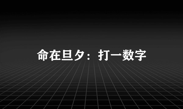 命在旦夕：打一数字