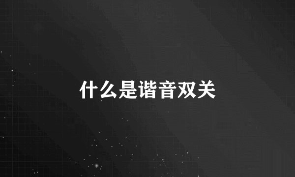 什么是谐音双关