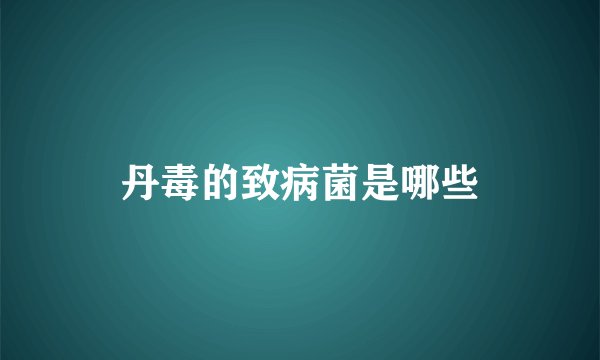 丹毒的致病菌是哪些