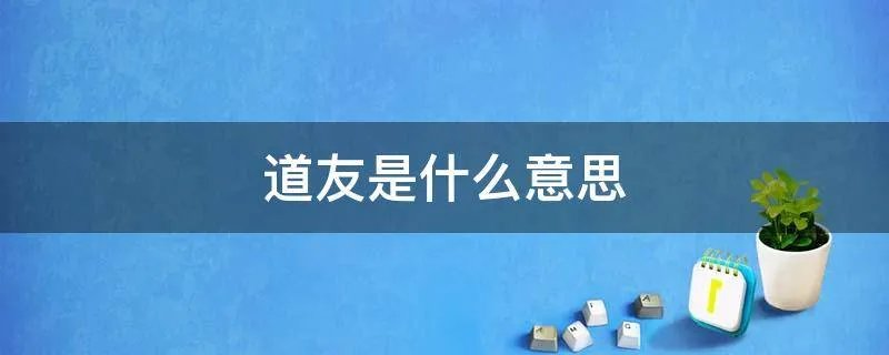 道友是什么意思