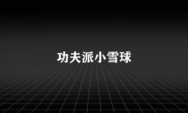 功夫派小雪球