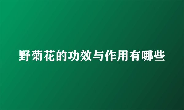 野菊花的功效与作用有哪些