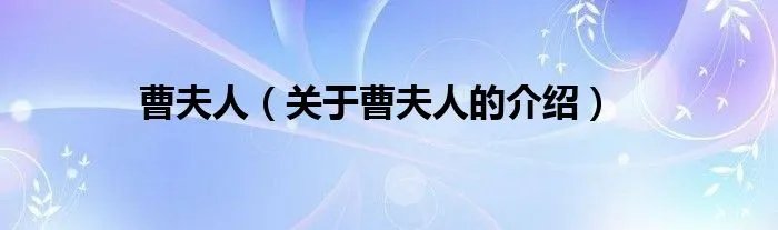 曹夫人(关于曹夫人的介绍)