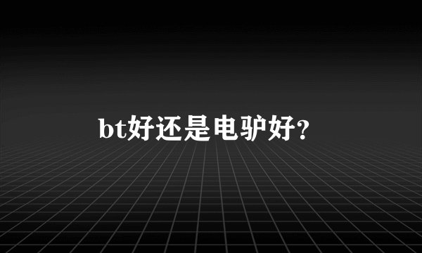 bt好还是电驴好?