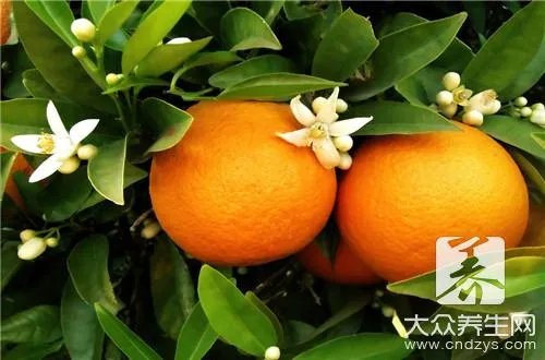 丑橘的功效与作用