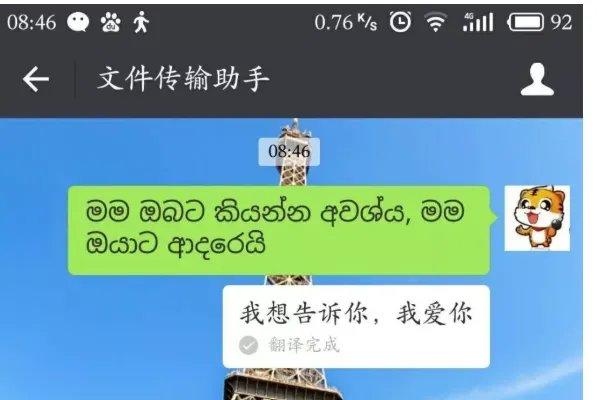 mi manchi翻译中文