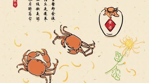 黄酒的功效与作用
