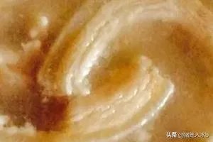 怎样做皮冻？