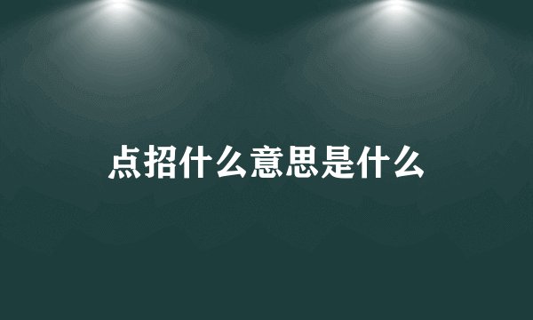 点招什么意思是什么