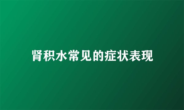 肾积水常见的症状表现