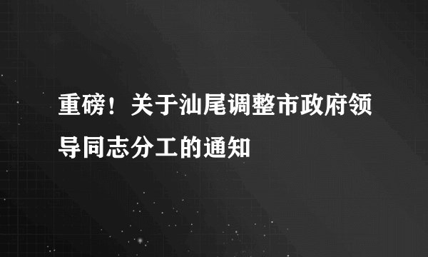 重磅！关于汕尾调整市政府领导同志分工的通知
