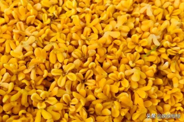桂花蜜的制作方法?