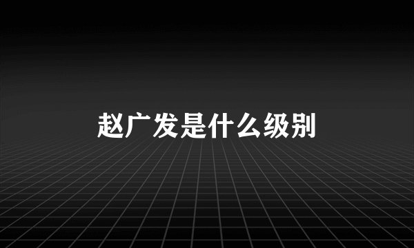 赵广发是什么级别