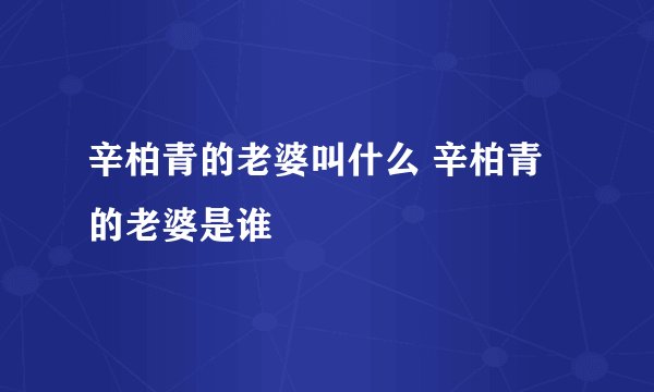 辛柏青的老婆叫什么 辛柏青的老婆是谁