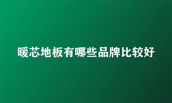 暖芯地板有哪些品牌比较好