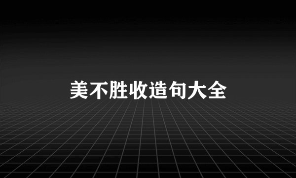 美不胜收造句大全