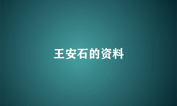 王安石的资料