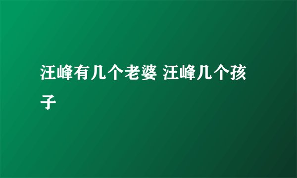 汪峰有几个老婆 汪峰几个孩子