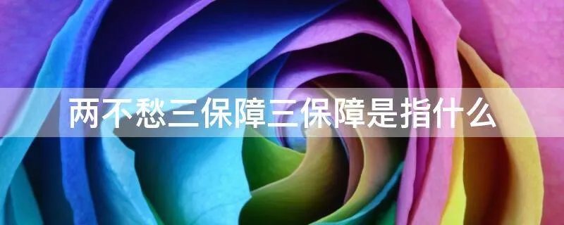 两不愁三保障三保障是指什么