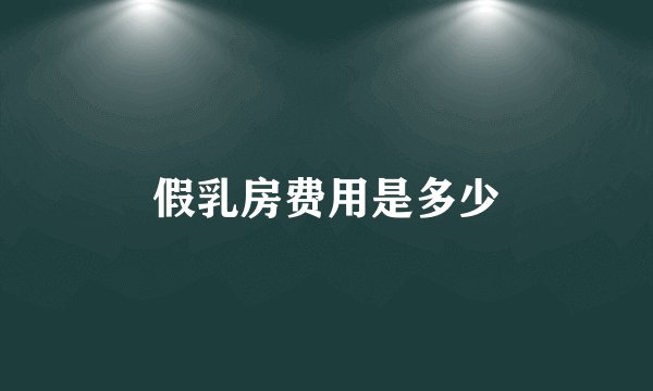 假乳房费用是多少