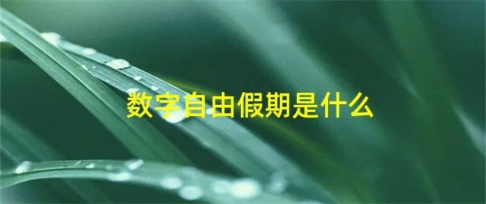 数字自由假期是什么