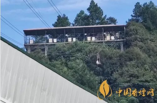 重庆回应女子玩高空项目坠落:坠落者为景区工作人员