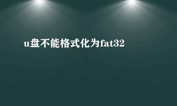 u盘不能格式化为fat32