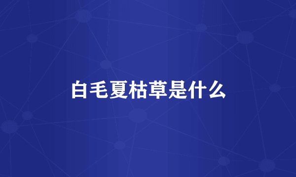 白毛夏枯草是什么