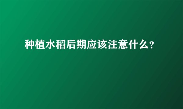 种植水稻后期应该注意什么？