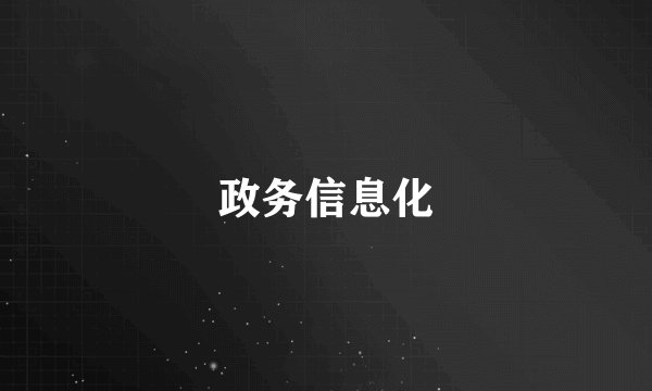政务信息化