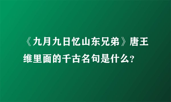 《九月九日忆山东兄弟》唐王维里面的千古名句是什么？