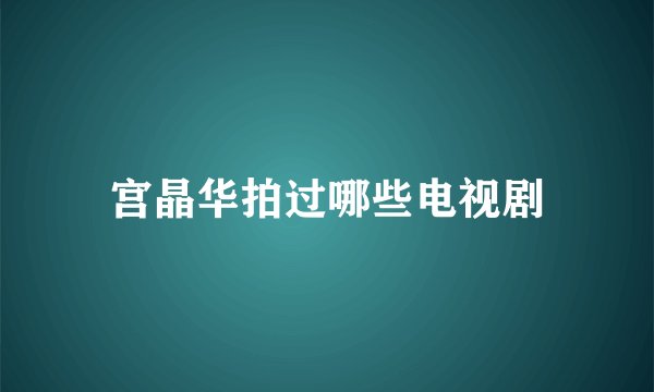 宫晶华拍过哪些电视剧