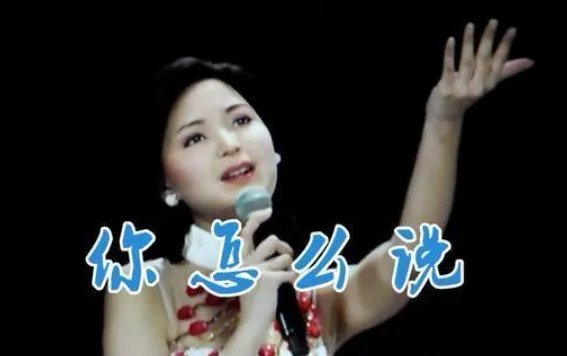 你怎么说 歌词是什么?