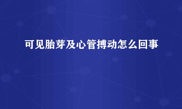 可见胎芽及心管搏动怎么回事