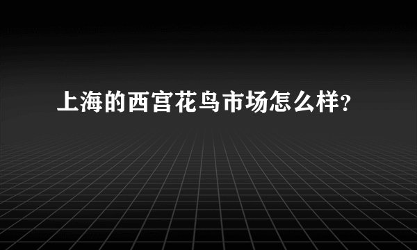 上海的西宫花鸟市场怎么样？