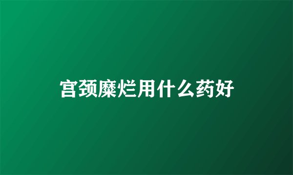 宫颈糜烂用什么药好