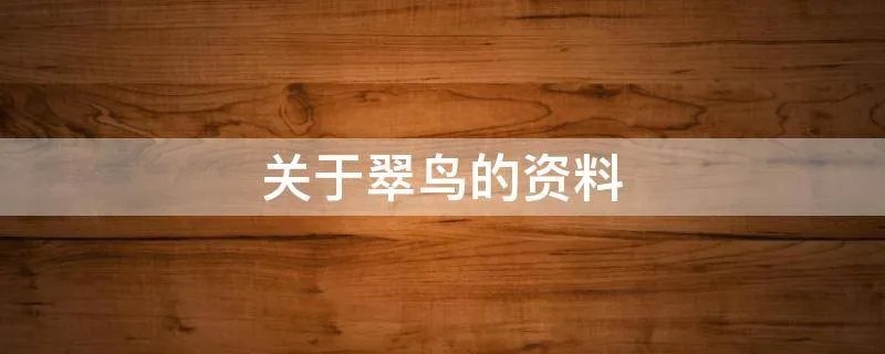 关于翠鸟的资料