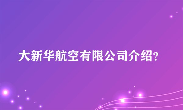 大新华航空有限公司介绍？